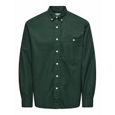 Classic Oxford Shirt